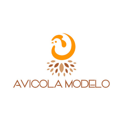 avicola modelo